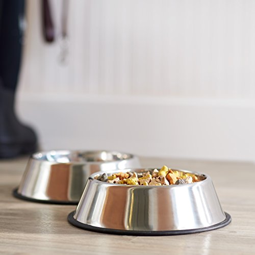 Detalle de Amazon Basics Ciotola per cani in acciaio inox – confezione da 2, 1000 ml