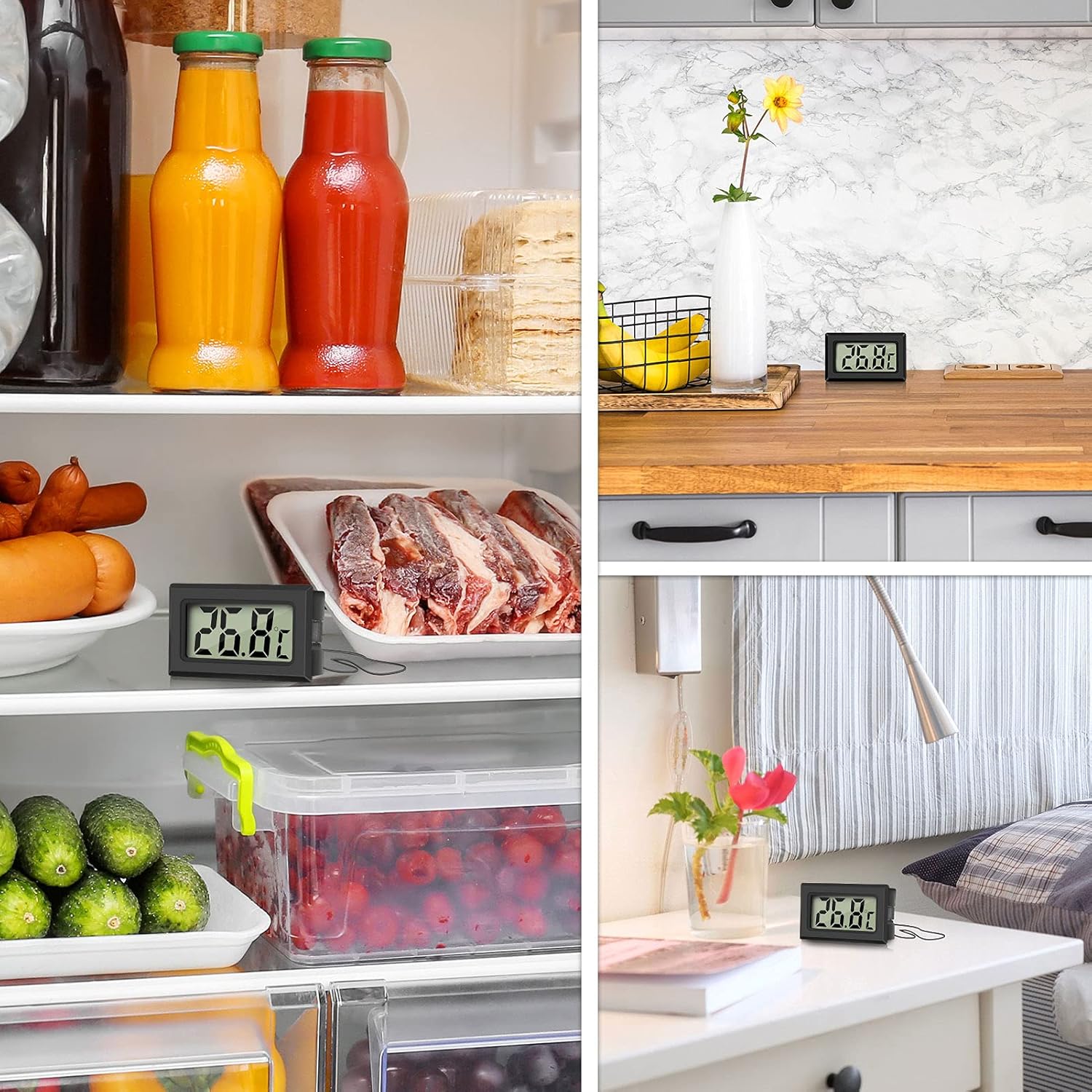 Thumbnail 5 de Thlevel Digital Reptile Thermometer 4 Pack