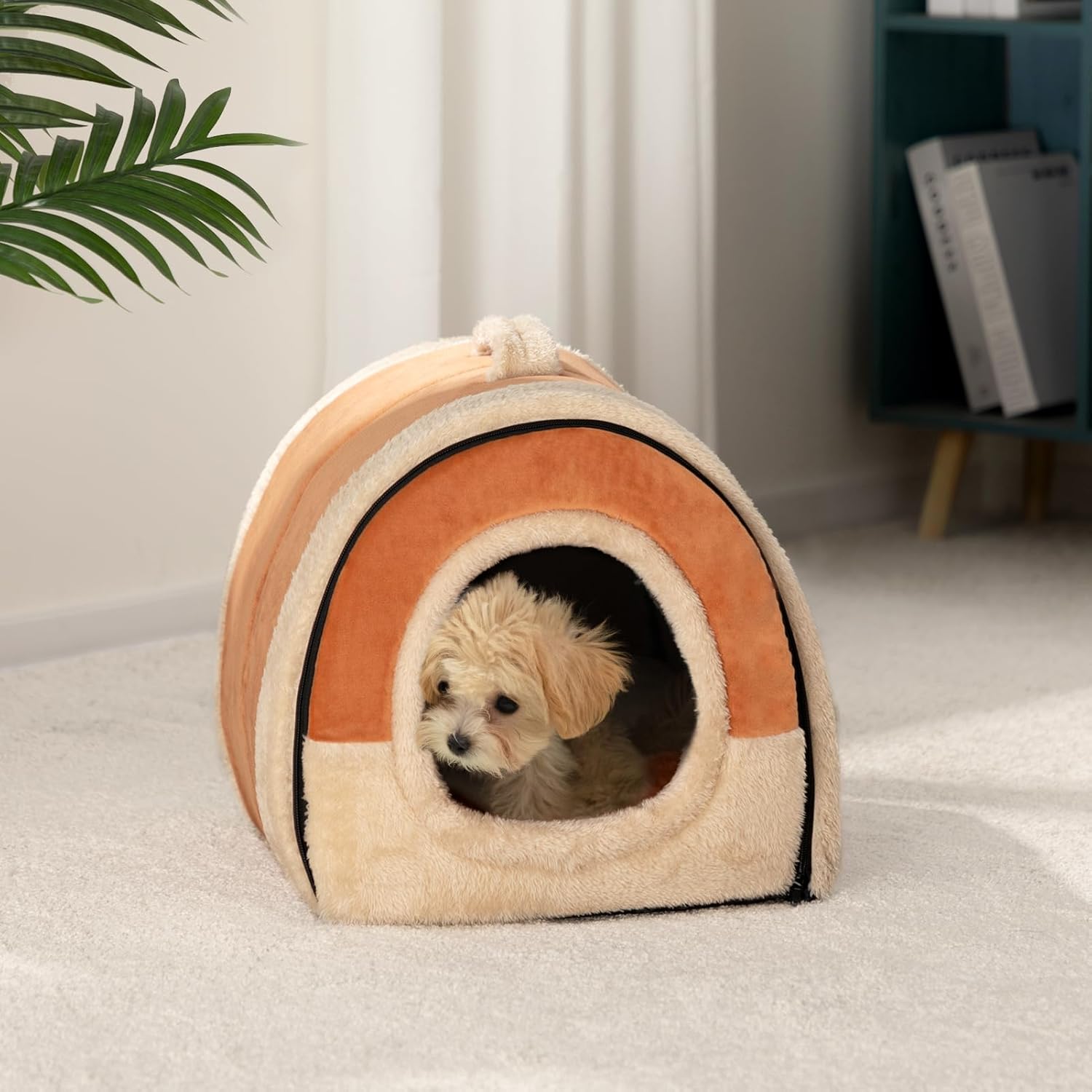 Thumbnail 3 de Hollypet Lit 2 en 1 pliable pour chat et petit chien en velours cristal orange-brun
