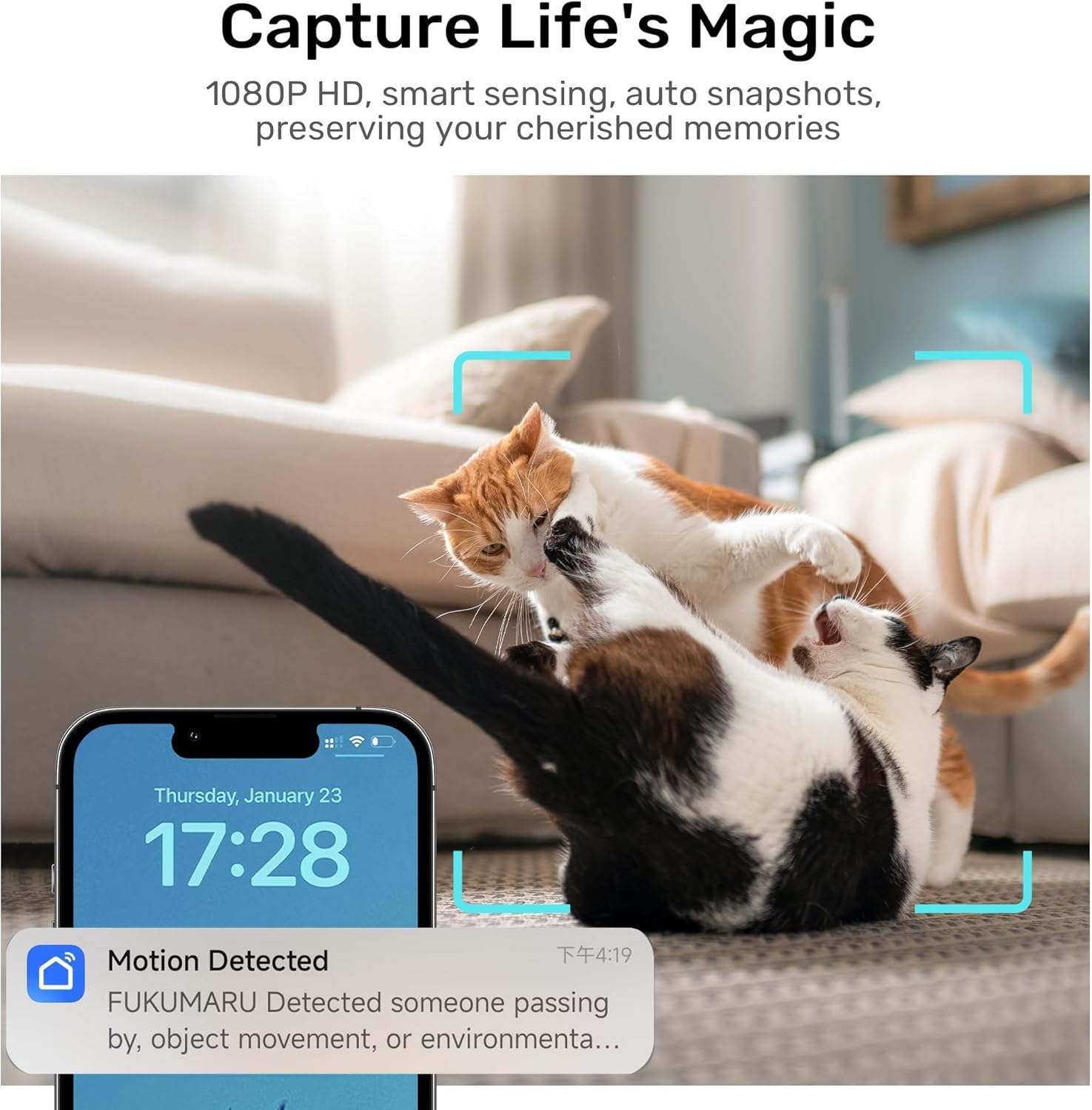 Thumbnail 5 de FUKUMARU Automatic Cat Feeder with Camera (1080P HD, Night Vision) with 5G WiFi App Control
