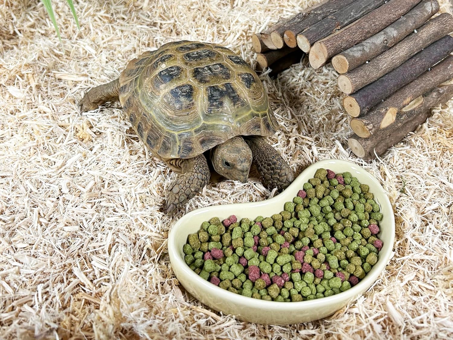 Thumbnail 4 de Flexi-Stix klein für Terrarien