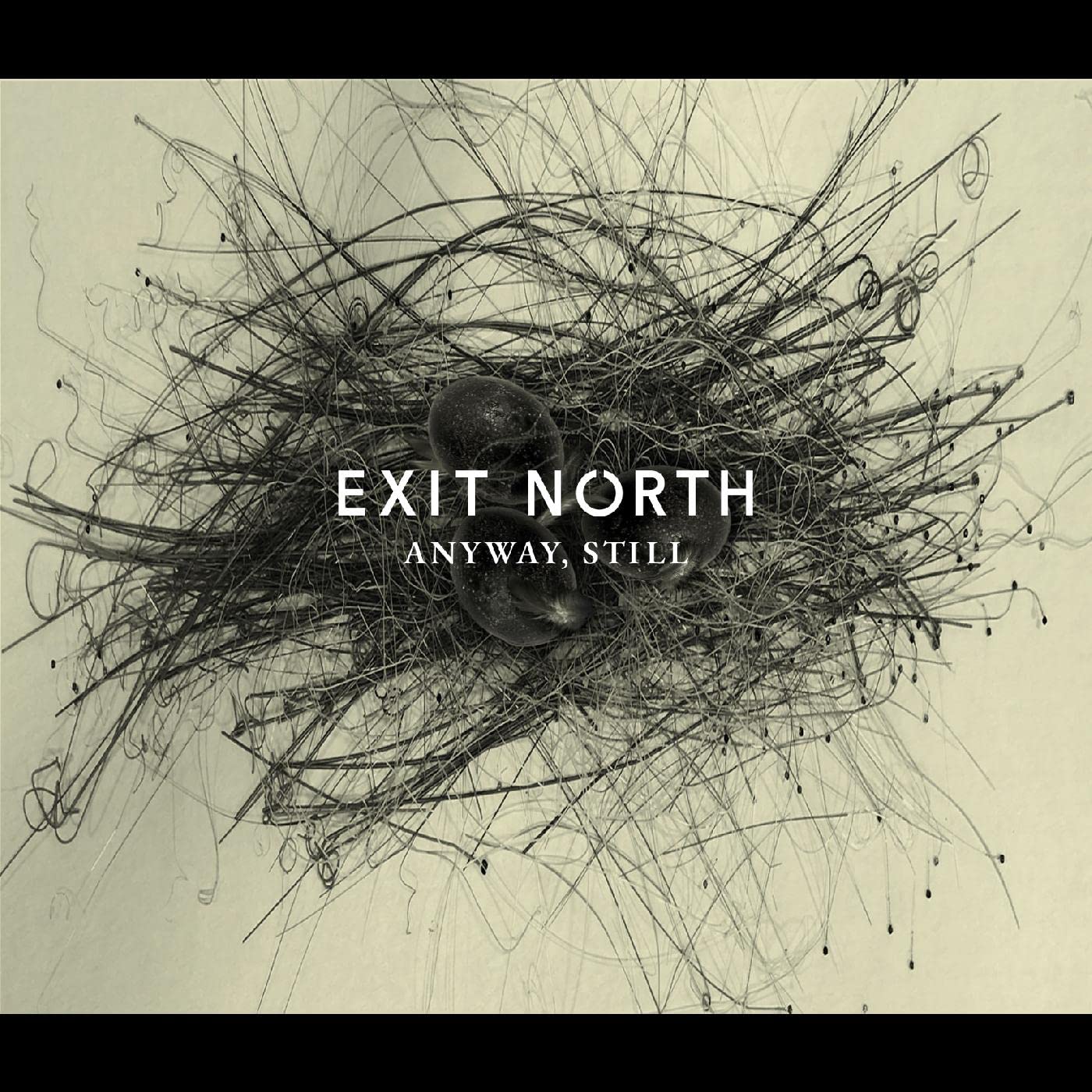 Detalle de Exit North Anyway, Still Audio CD with Piano, Strings, and Cinematic Dynamics