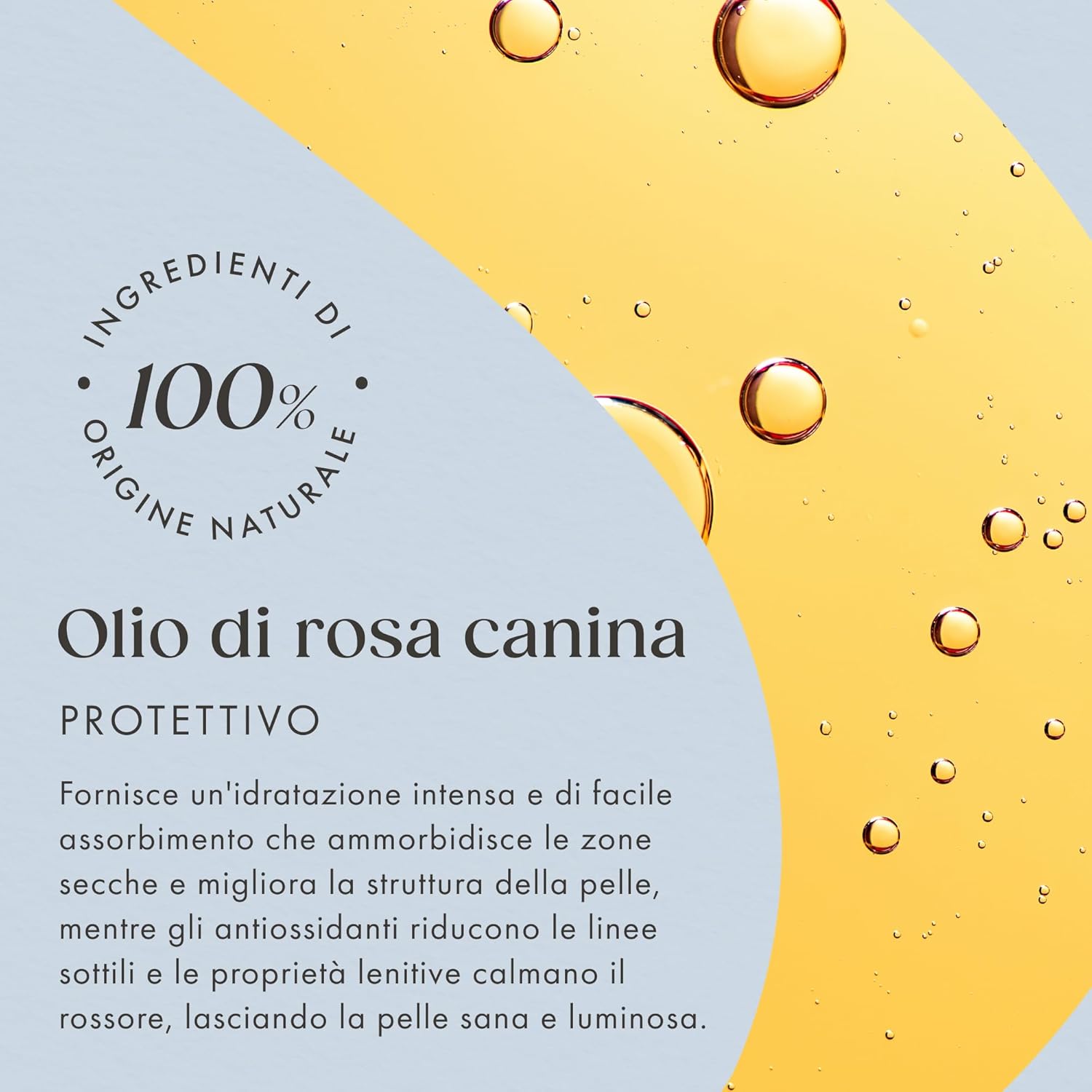 Thumbnail 4 de Olio di Rosa Mosqueta 100% Puro 50 ml + Spremuto a Freddo – Satin Naturel: guida all’acquisto