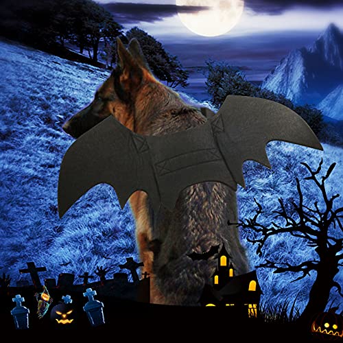 Thumbnail 6 de RANYPET Dog Bat Wings XL dog costume ðŸŽ