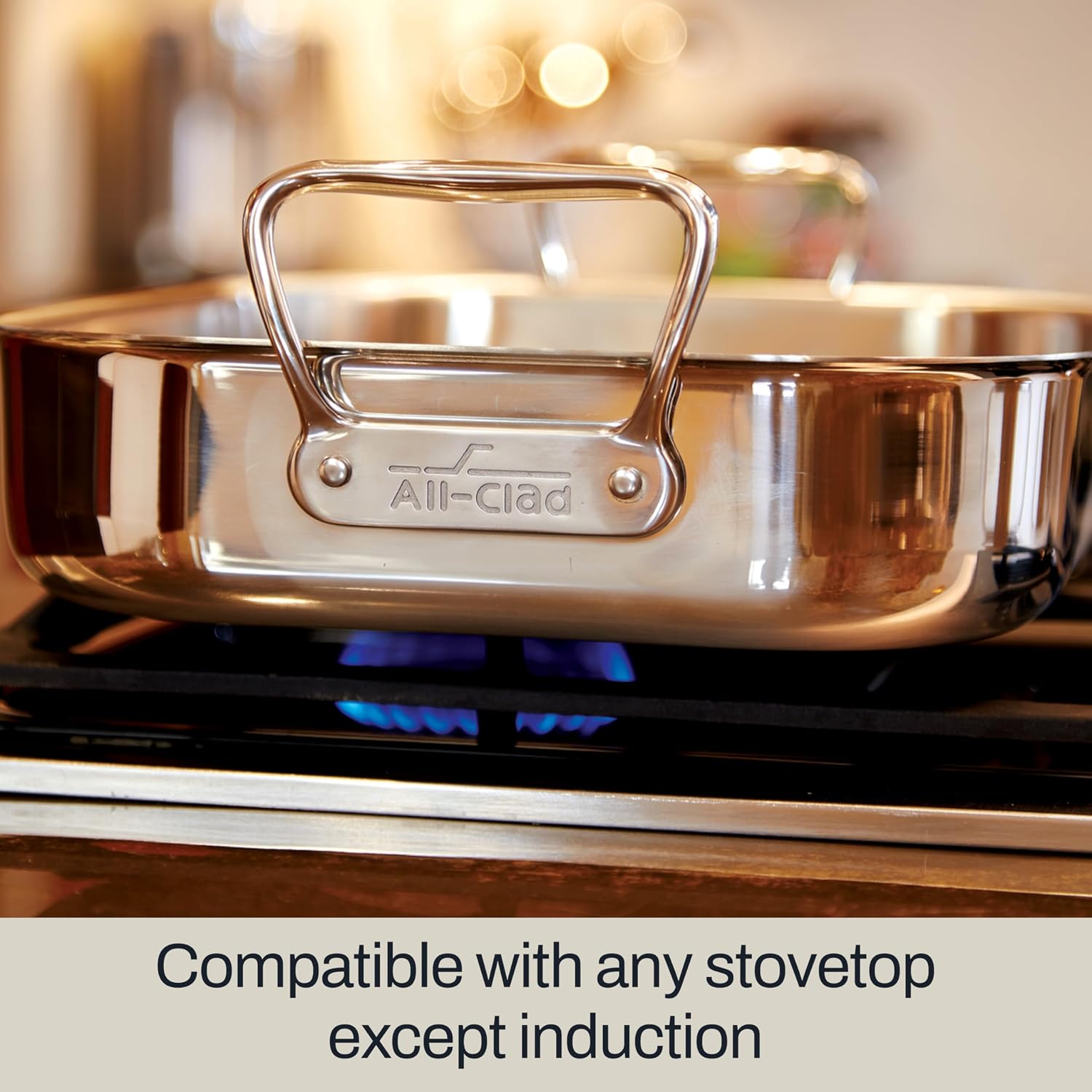 Detalle de All-Clad Stainless Steel Roasting Pan 13" x 16