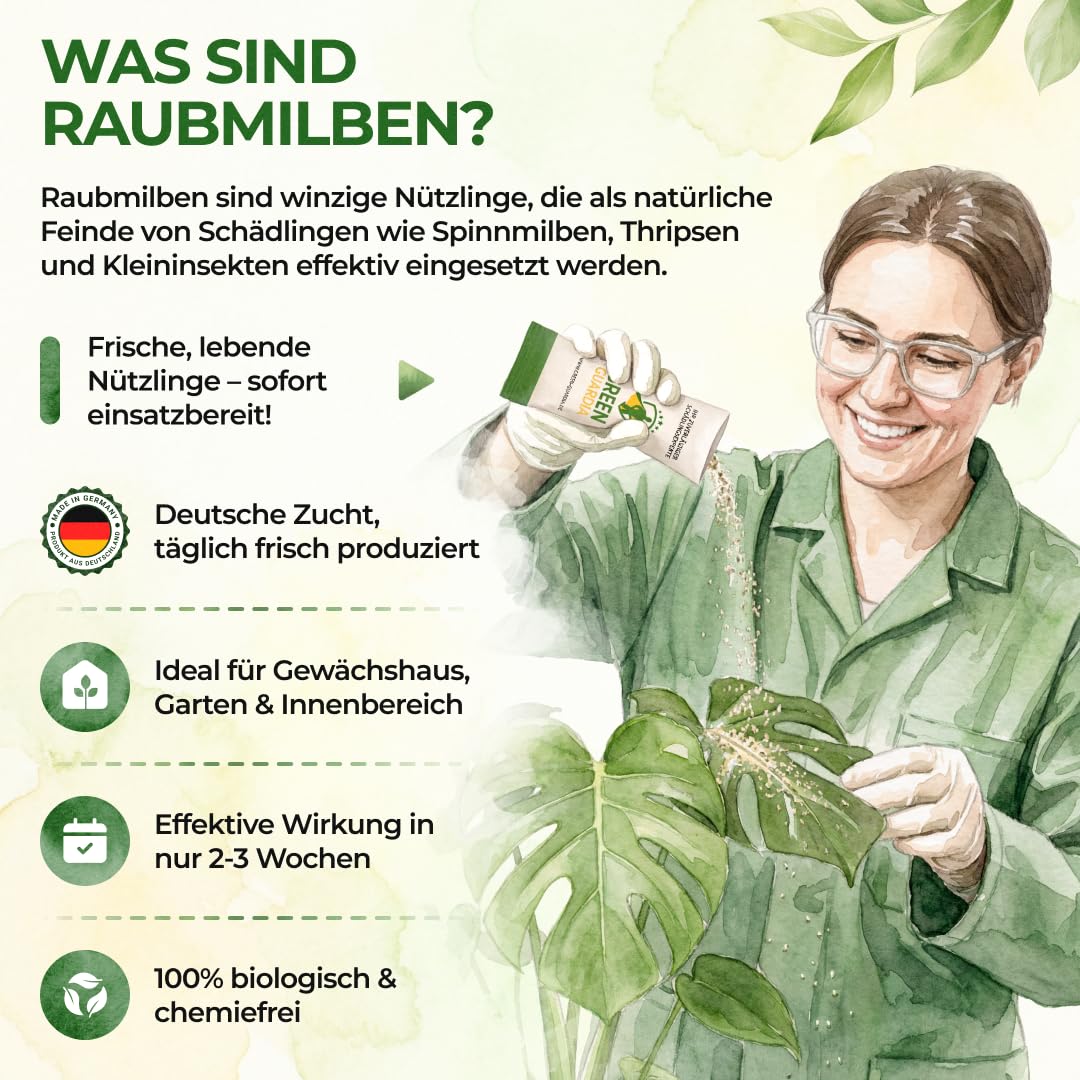 Thumbnail 4 de GREEN GUARDIA Power Raubmilben gegen Spinnmilben – 15 Tüten | Biologische Schädlingsbekämpfung für Zimmerpflanzen, Zierpflanzen und Cannabis