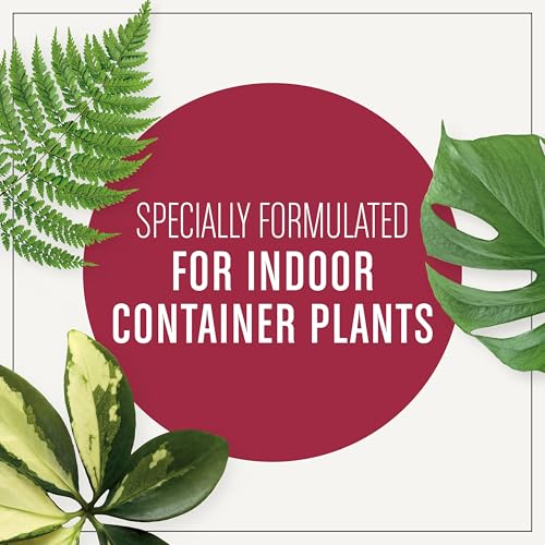Detalle de Miracle-Gro Houseplant Potting Mix, 4 qt: A practical indoor soil for thriving tropical plants