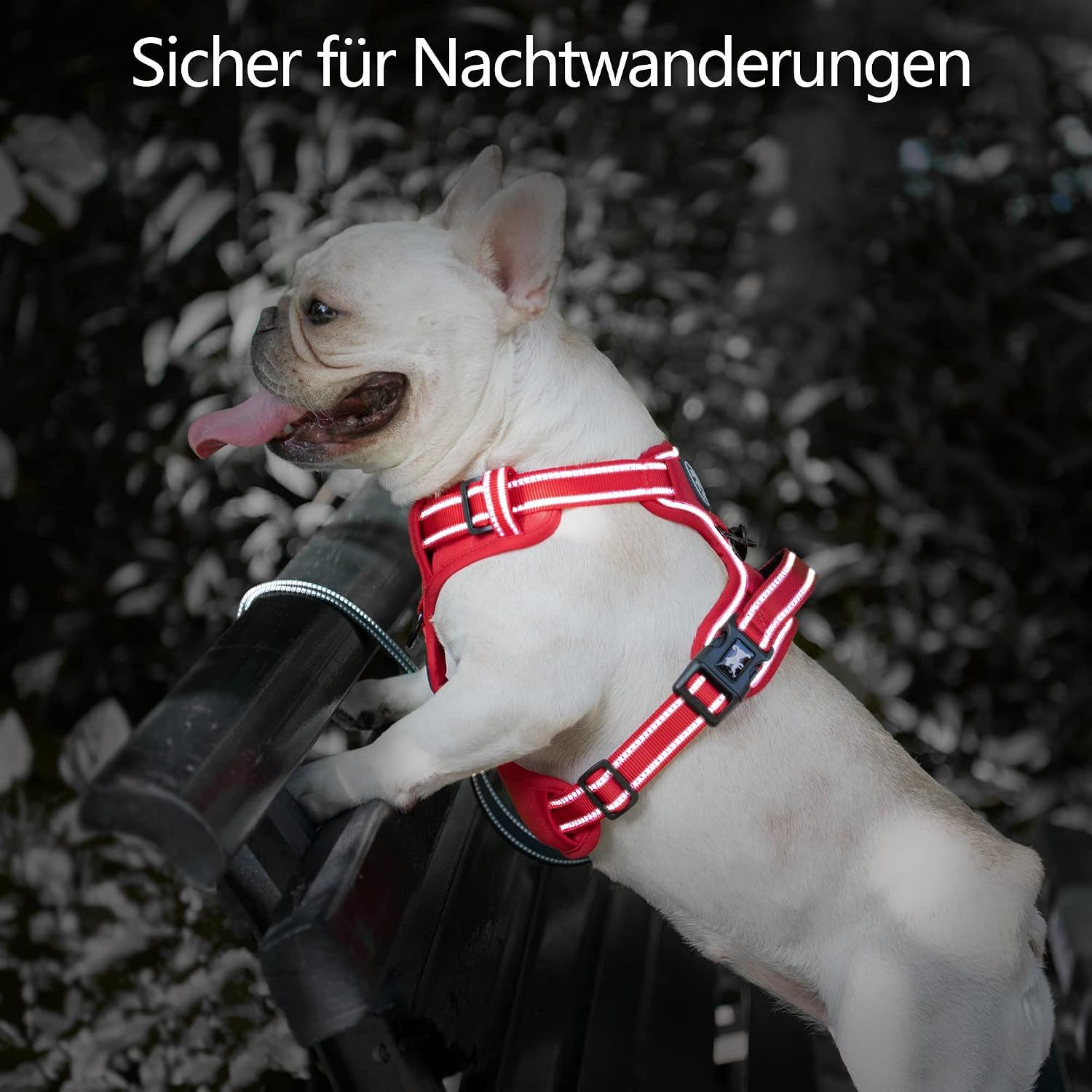Detalle 2 de PoyPet Hundegeschirr ohne Zug mit Reflexion, weich gepolstert und verstellbar (Rot, Größe M)