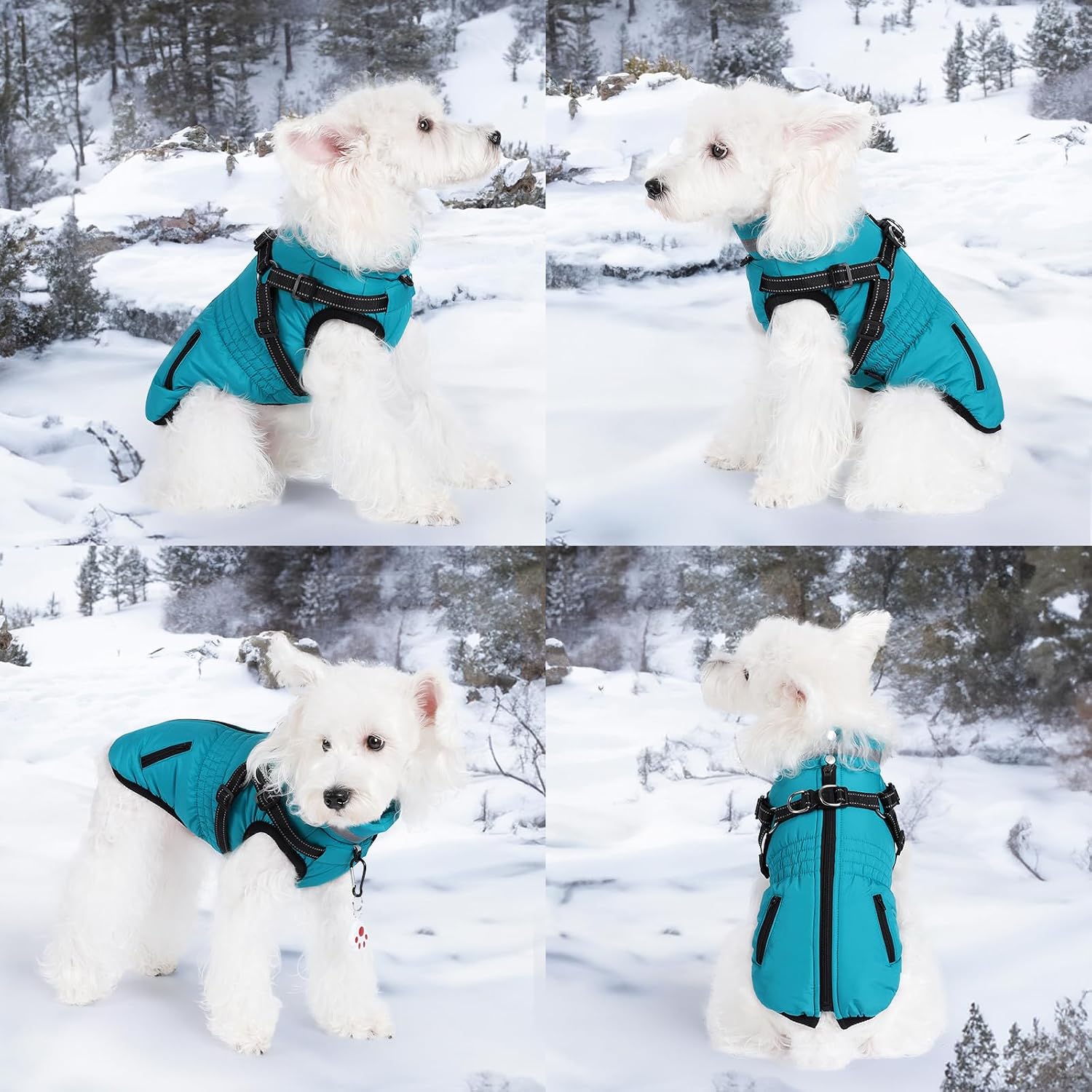 Detalle 2 de Poseca Dog Coat with Built‑in Harness