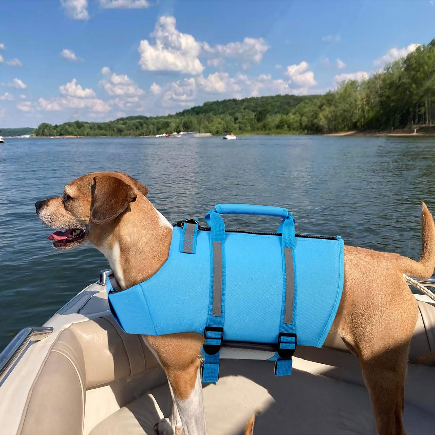 Thumbnail 6 de Queenmore Dog Life Jacket, Size S