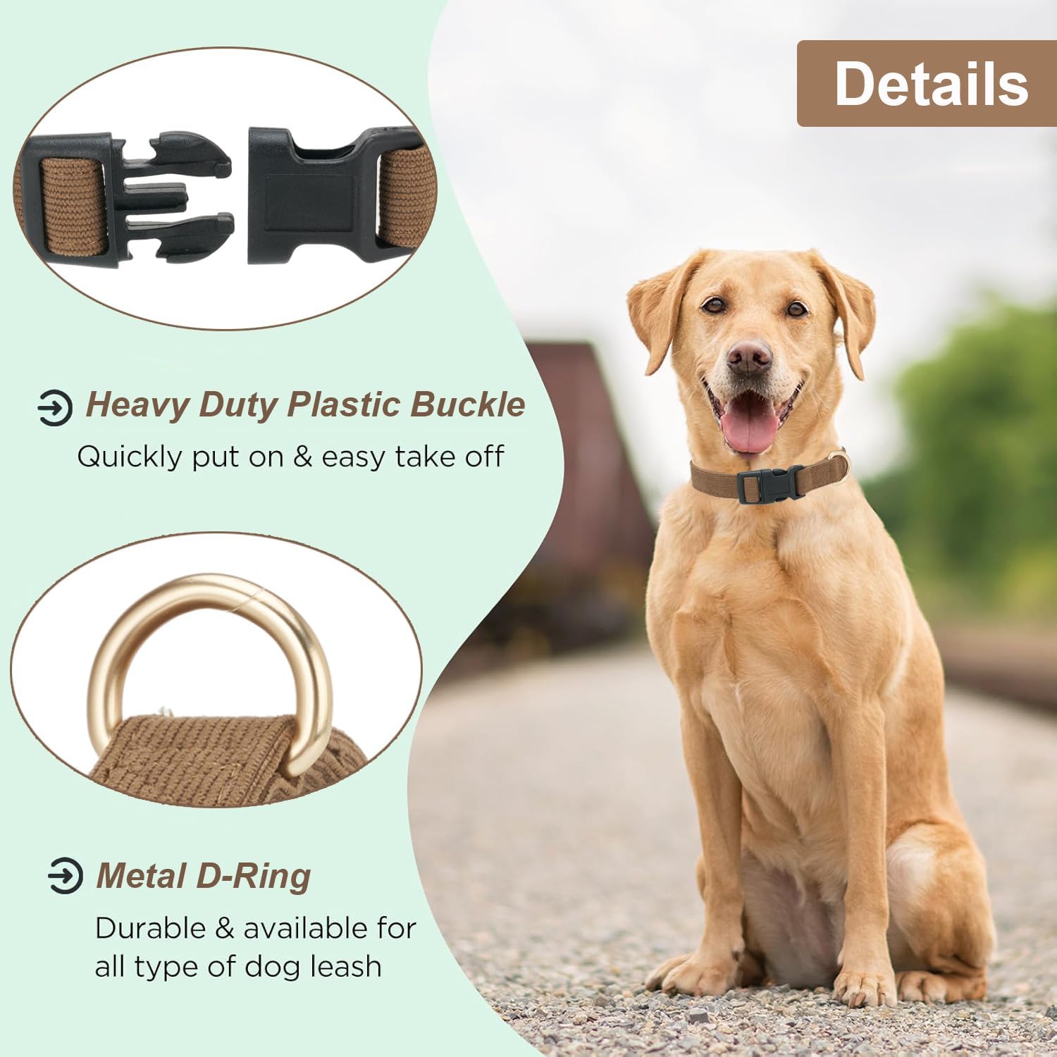 Thumbnail 1 de Petiry Small dog collar S, 1.5 cm width