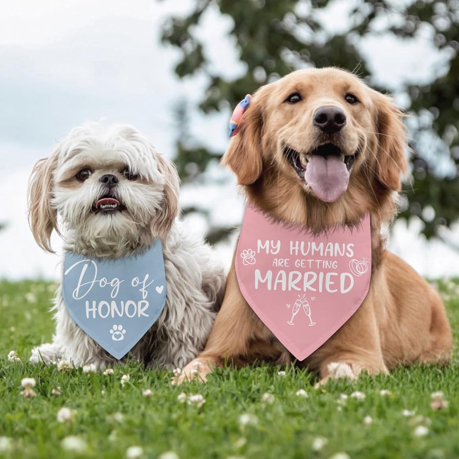 Thumbnail 4 de Dog Wedding Bandanas, 2-Pack