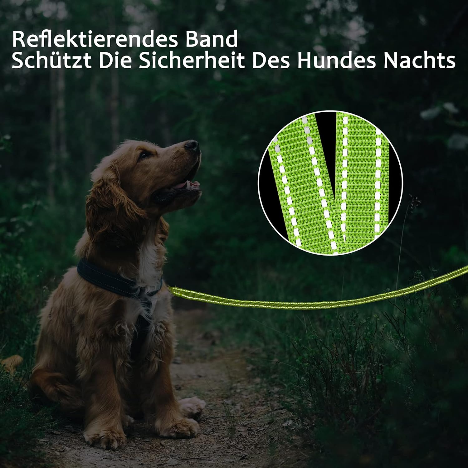 Detalle de Demigreat Schleppleine für Hunde mit reflektierenden Streifen, gepolstertem Griff und Handschlaufe (3 m / 5 m / 10 m / 15 m / 20 m)