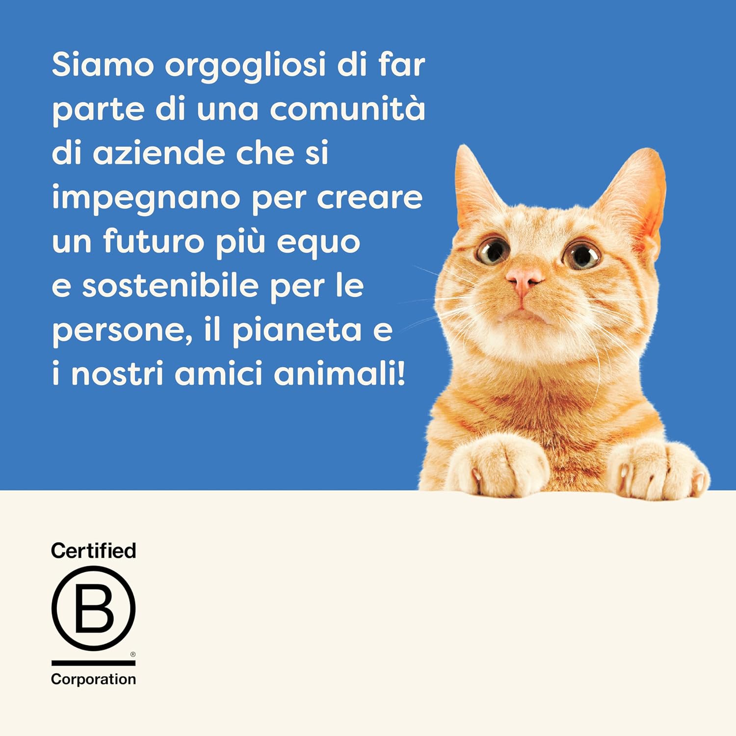 Thumbnail 6 de Applaws cibo umido 100% naturale per gatti adulti – Selezione di pesce in salsa, 12 lattine da 70 g