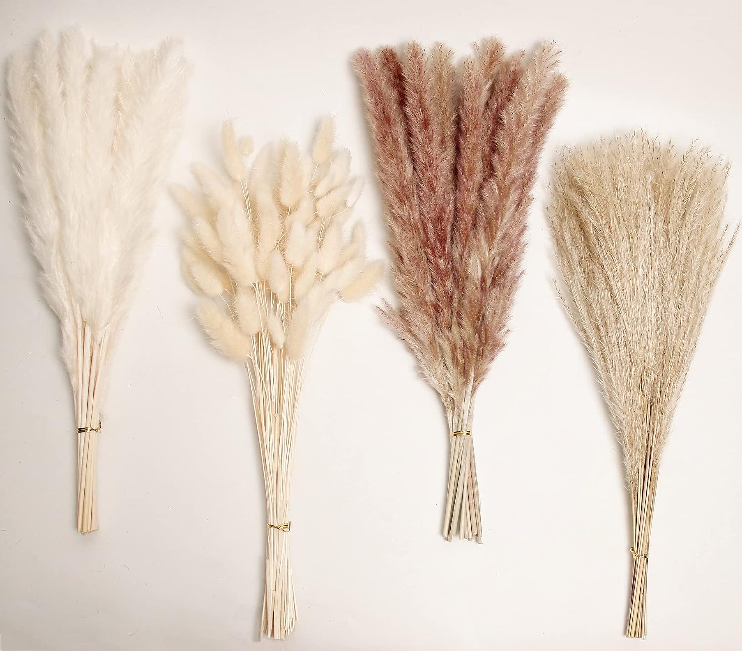 Detalle de Dried Pampas Grass Decor, 17-Inch