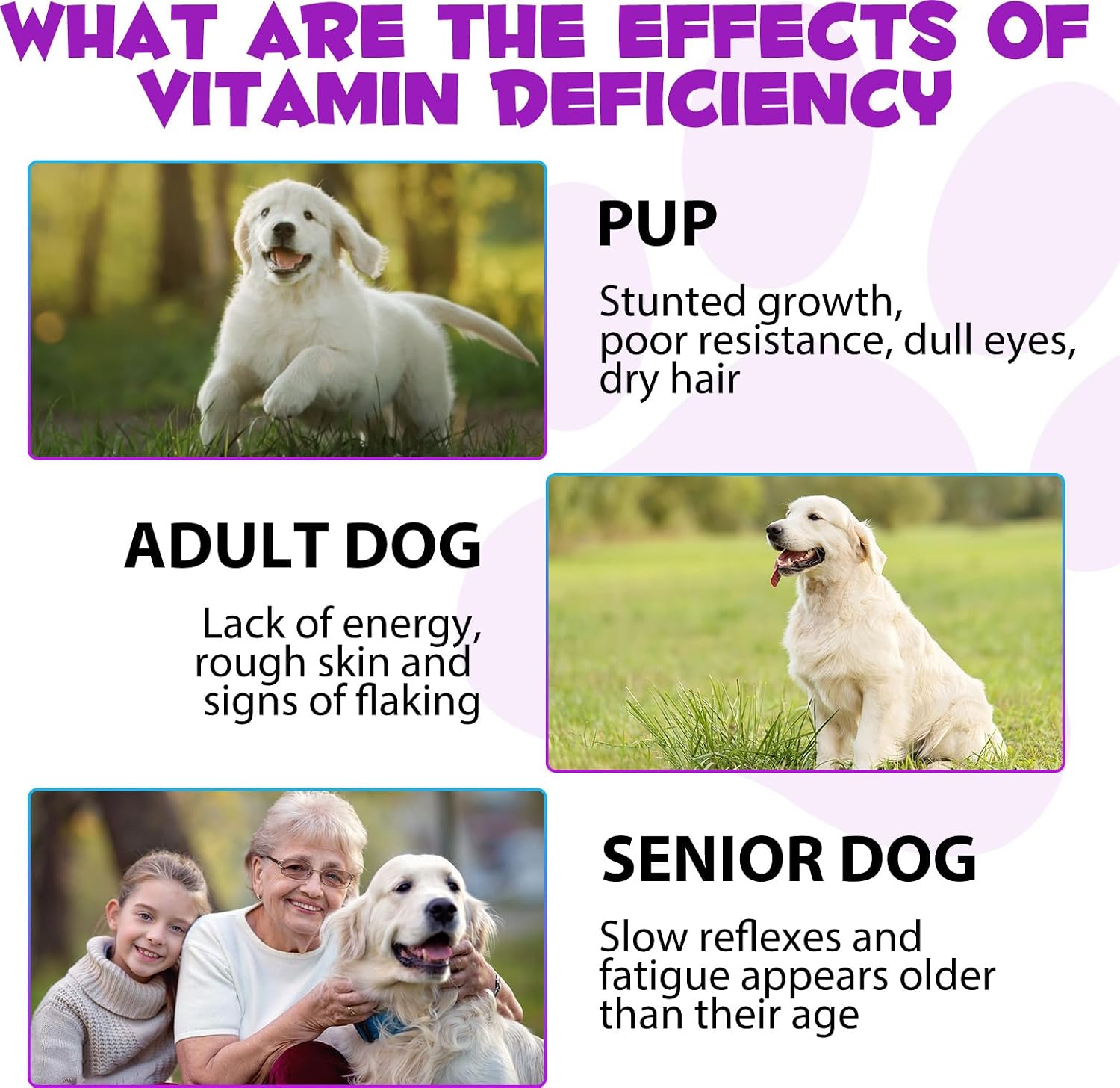 Thumbnail 5 de Gotas multivitamínicas 15‑en‑1 para perros