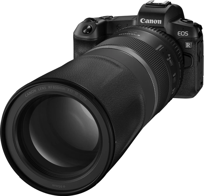 Thumbnail 4 de Canon RF 800mm f/11 IS STM – Superteleobjektiv für Wildlife-Fotografie