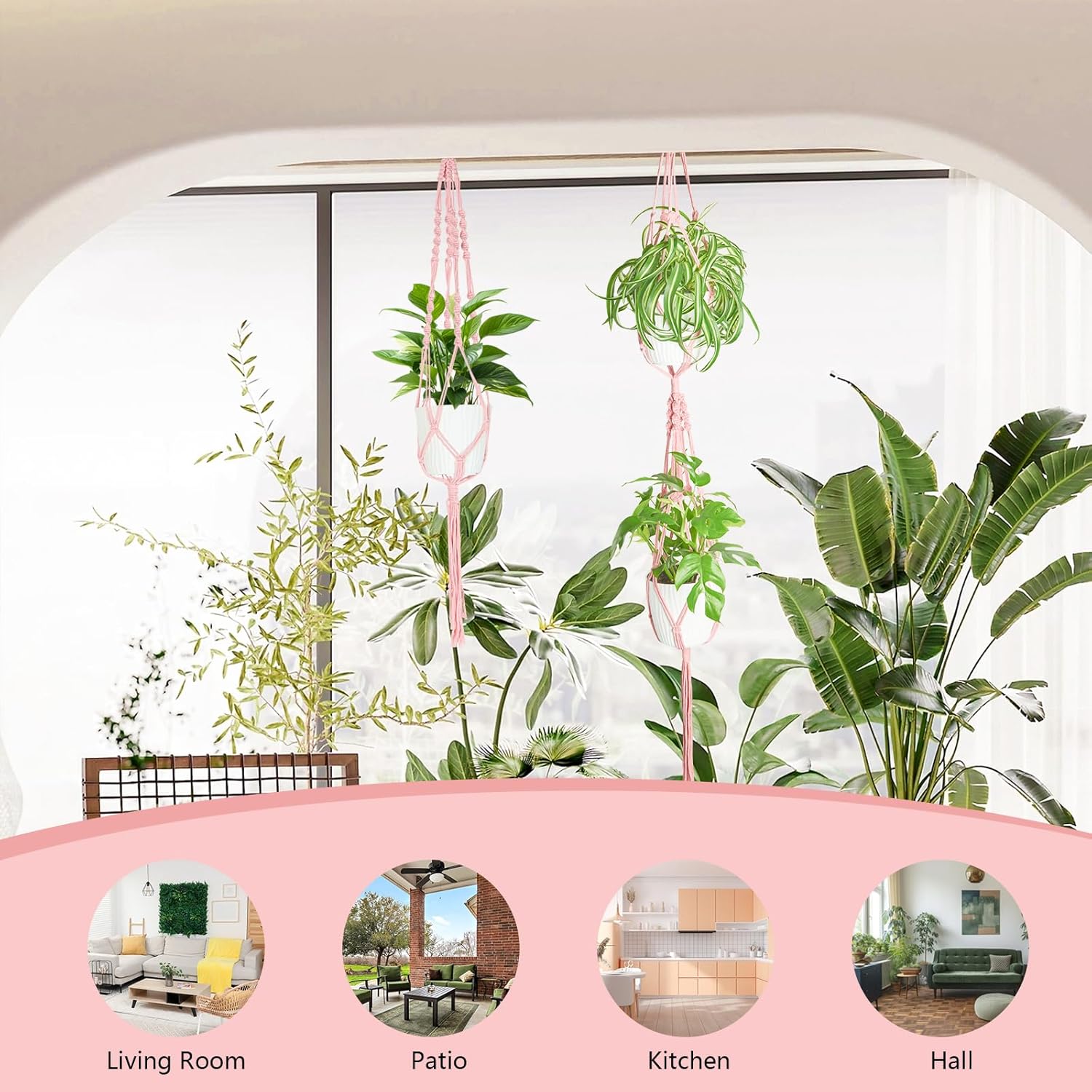 Thumbnail 6 de XXXFLOWER 3 Pack Macrame Plant Hanger