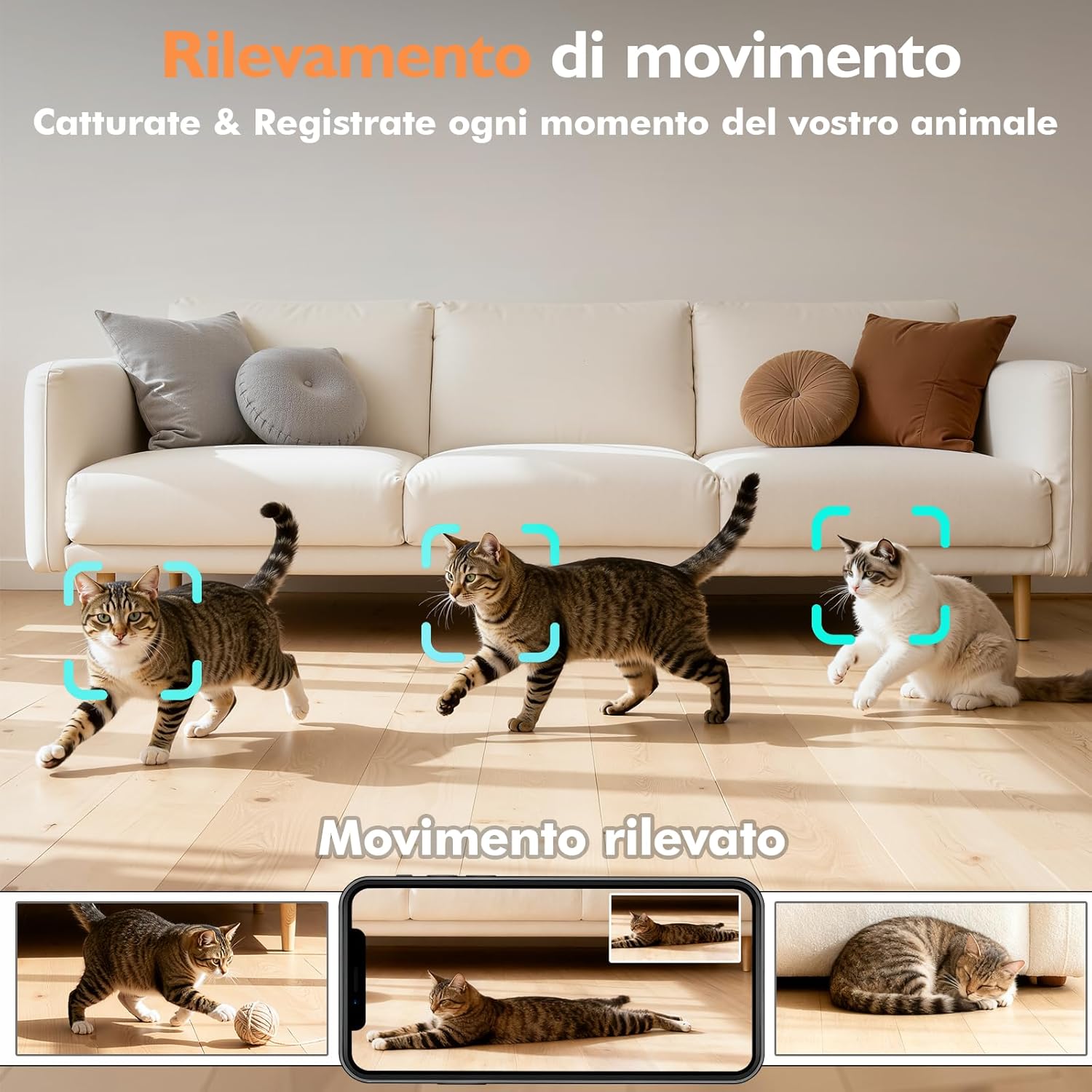 Detalle de PETLIV Distributore Automatico Cibo Gatti con Telecamera 2K e 5L/4L