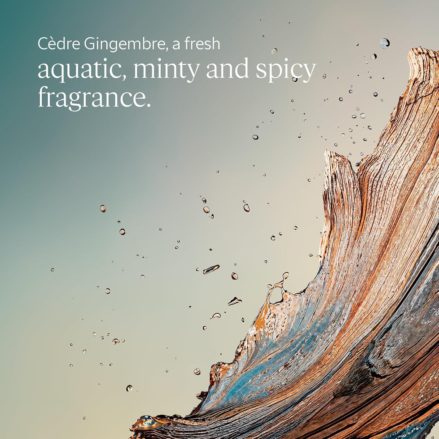 Thumbnail 1 de L'OCCITANE Cèdre Gingembre Shower Gel — Refreshing cedar, ginger and minty warmth for everyday cleansing