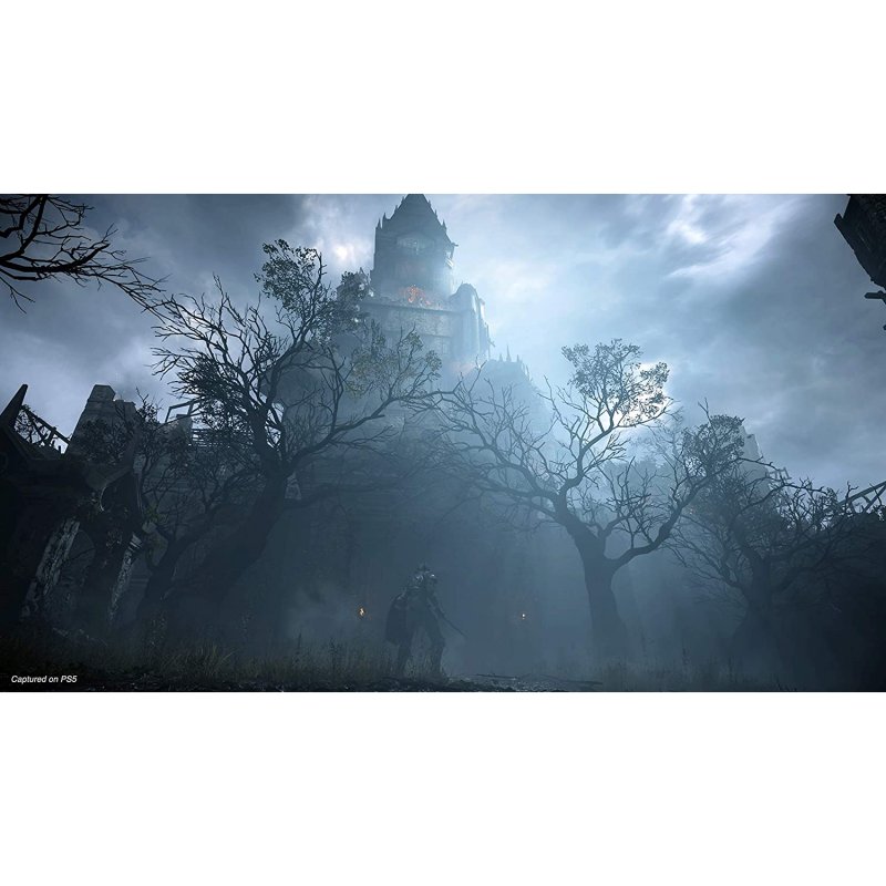 Detalle 2 de Demon's Souls Remake PS5, versión remasterizada