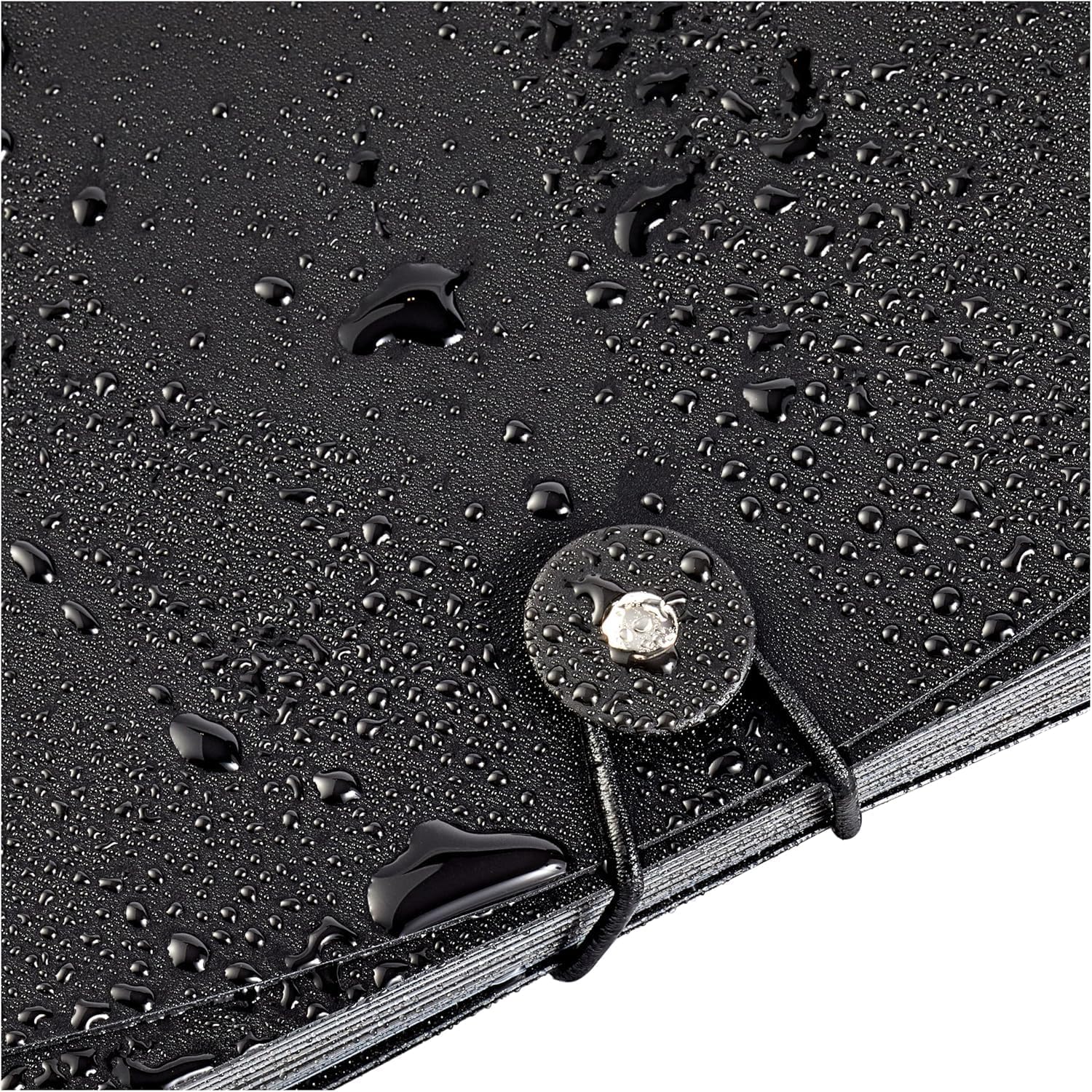 Thumbnail 3 de Amazon Basics Expanding File A4 📁