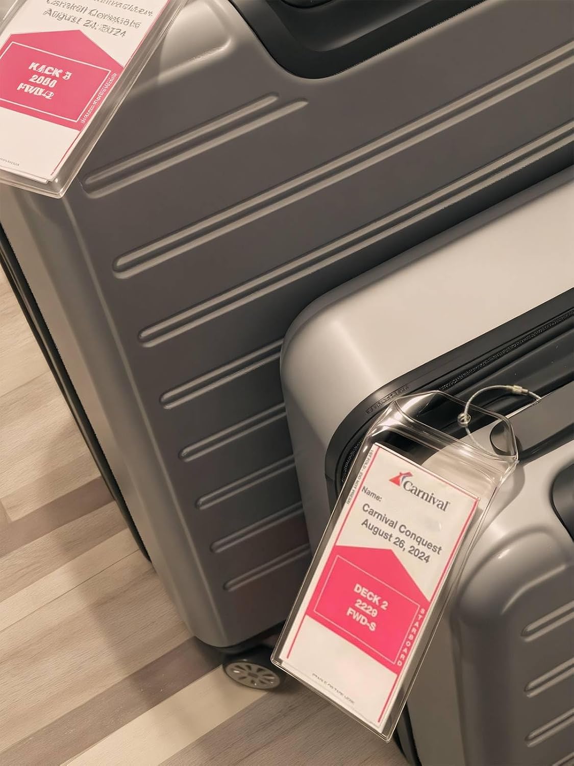 Detalle de Lammcou Étiquettes de bagage XXL pour croisières – Set étanche avec lanière et attache solide