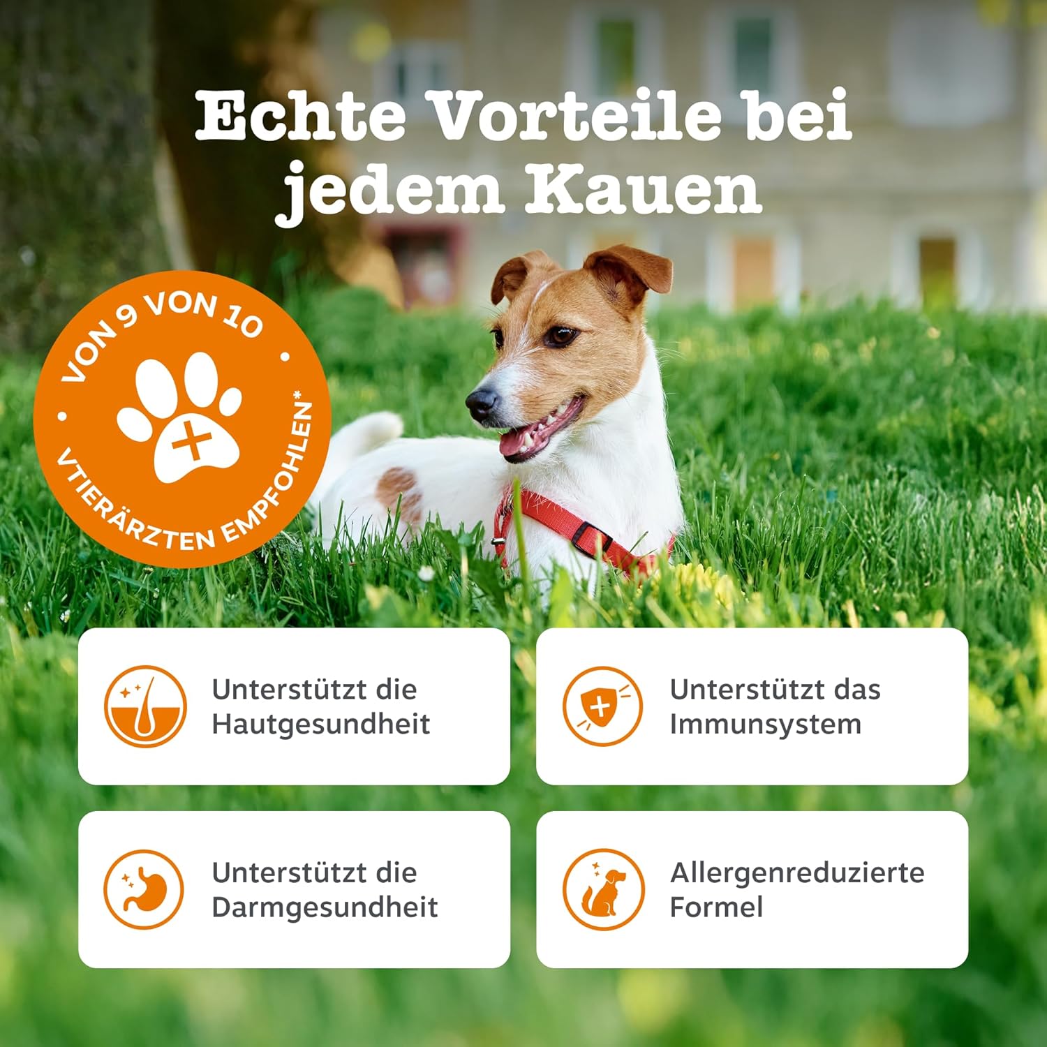 Detalle de Zesty Paws Allergie & Immunität Chews – Nahrungsergänzung für Hunde (90 STK)