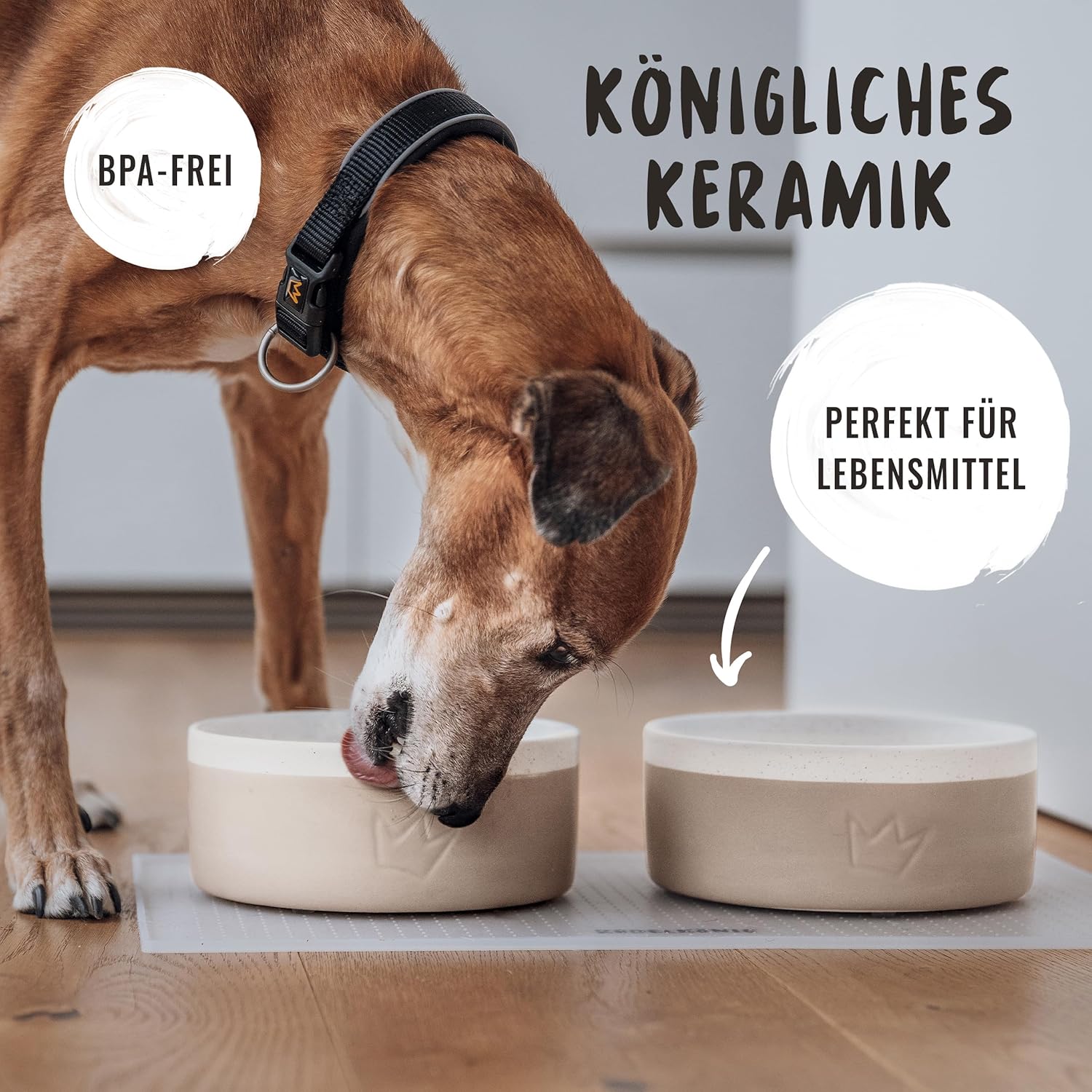 Detalle de Rudelkönig Hundenapf Keramik 900 ml 🍽