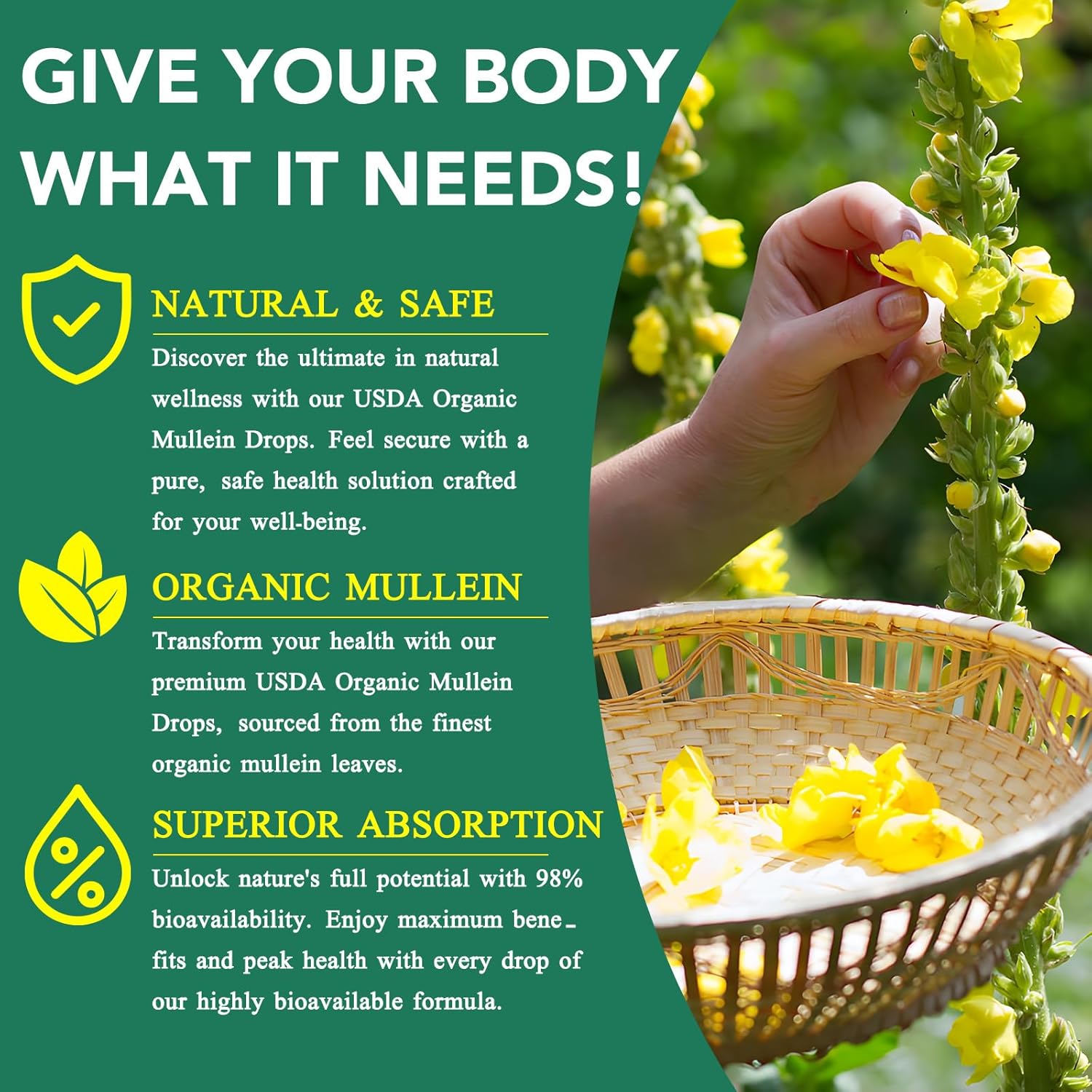Thumbnail 3 de Mullein Leaf Extract for Lungs 60ML Drops — Premium Vegan Lung Support