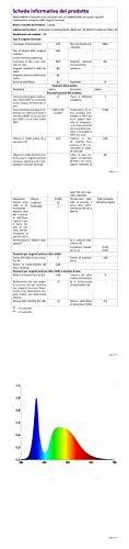Thumbnail 11 de Liwqolx Tira LED TV RGB 5 m con 30 LED por metro, app Bluetooth y mando para TV de 65-75 pulgadas