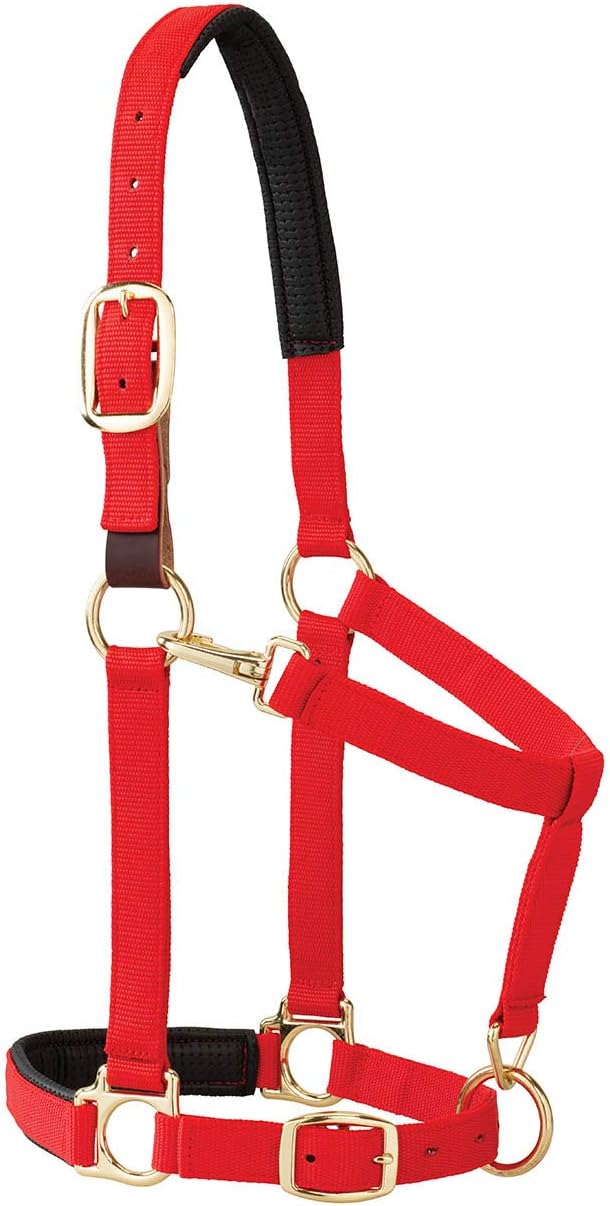 Thumbnail 6 de Weaver Leather Equine Breakaway – zrywalny kantar dla konia, średni, fioletowy