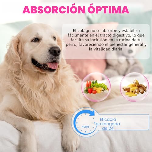 Detalle de Colágeno líquido para perros CiAIplw 60ML: piel sana, pelo brillante y articulaciones flexibles