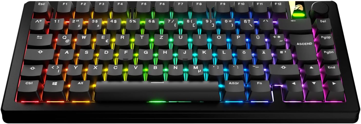 Detalle de Glorious Gaming - Tasti GPBT Basics (Classic Black), 8 colori, PBT Doubleshot per tastiere meccaniche, layout QWERTZ tedesco