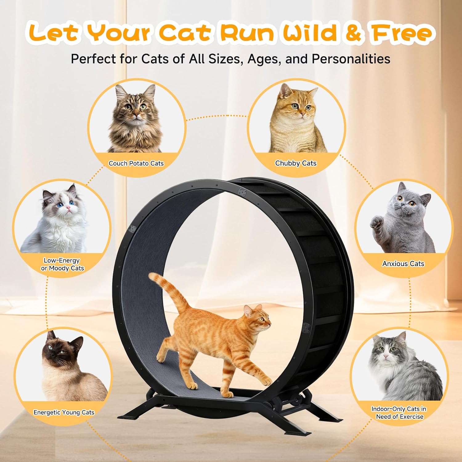 Detalle 2 de GTPLAYER PET-CEW 40-Inch Cat Exercise Wheel, Metal Frame, Detachable Carpet