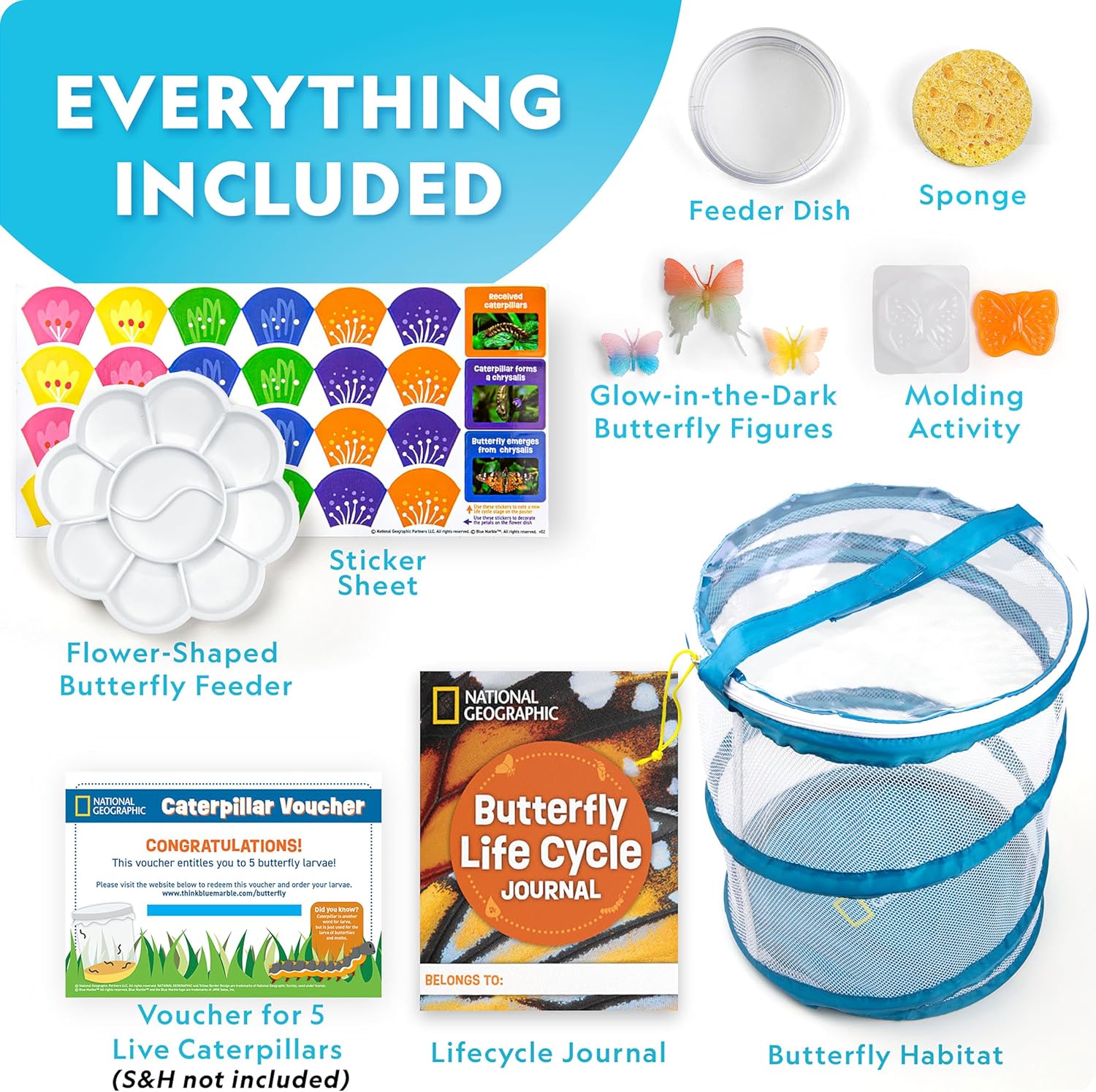 Thumbnail 4 de National Geographic Ultimate Butterfly Growing Kit 5 caterpillars