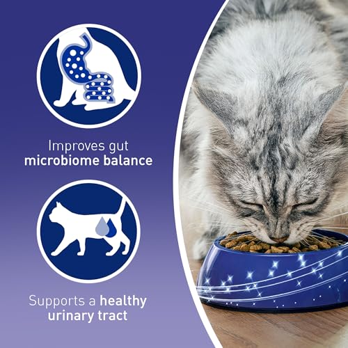 Detalle 2 de Purina One Salmon Dry Cat Food 800g (Pack of 4) – Adult Cat Nutrition