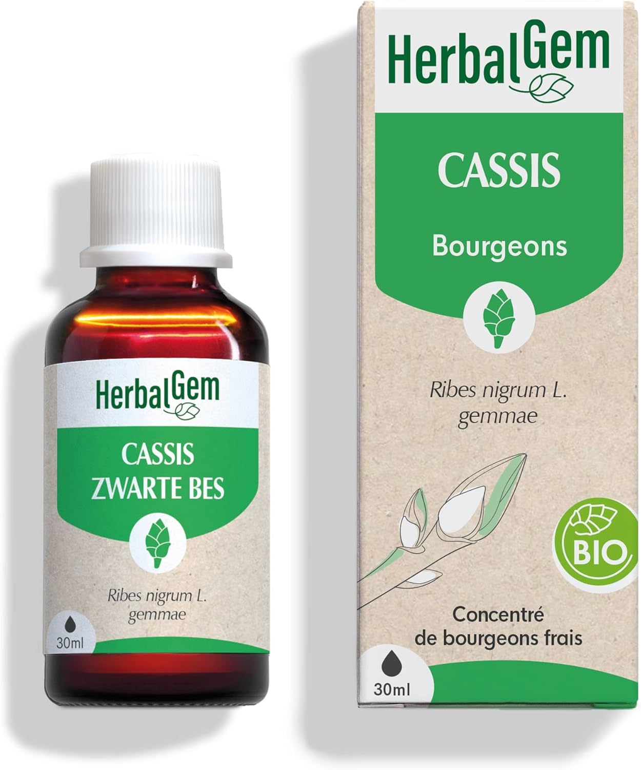 Thumbnail 4 de HERBALGEM Macérât-Mère Olivier Bio – Complément Gemmothérapie Concentrée, 30 ml