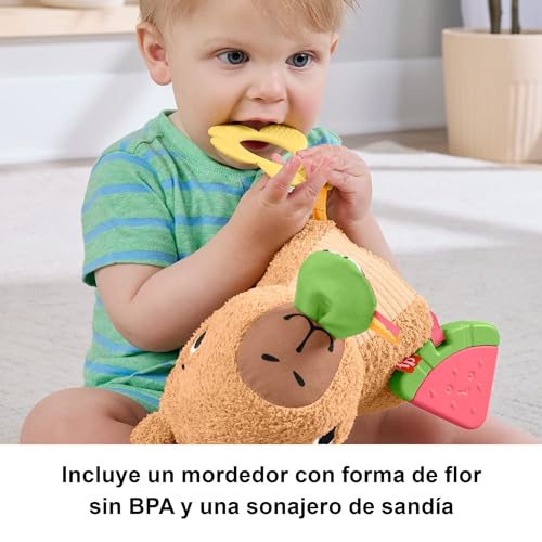 Thumbnail 3 de Fisher-Price Capibara Abracitos y Jueguecitos: juguete sensorial de peluche con sonajero y mordedor (desde 3 meses) HYR54