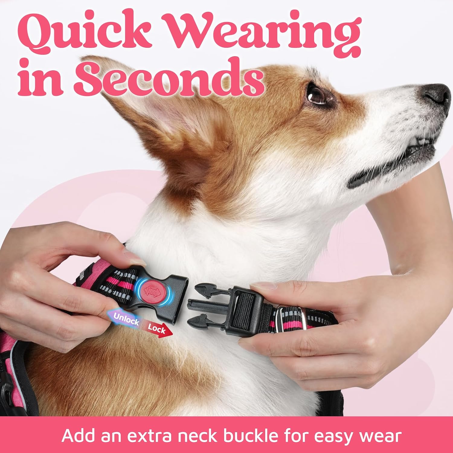 Detalle 2 de rabbitgoo Dog Harness, Large