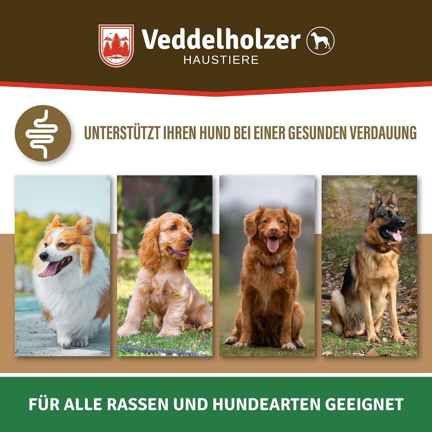 Thumbnail 5 de Hunde Probiotika Veddelholzer Leckerli