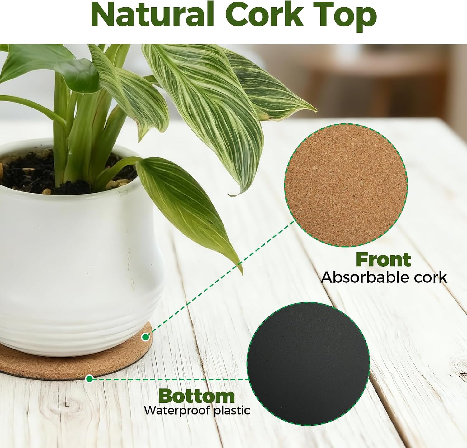 Detalle 2 de Bamworld 8-Inch Cork Plant Saucers, Set of 3, with Rubber Backing