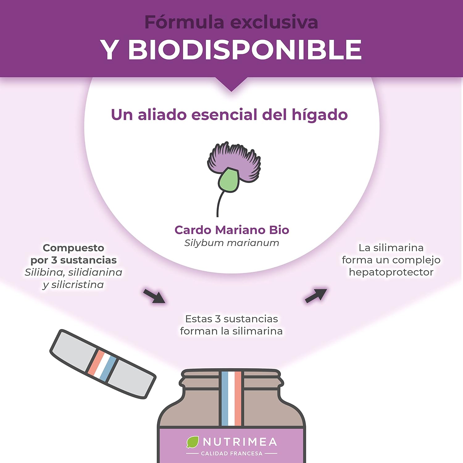 Detalle 2 de Laboratoires Nutrimea Cardo Mariano 900mg 120 cápsulas