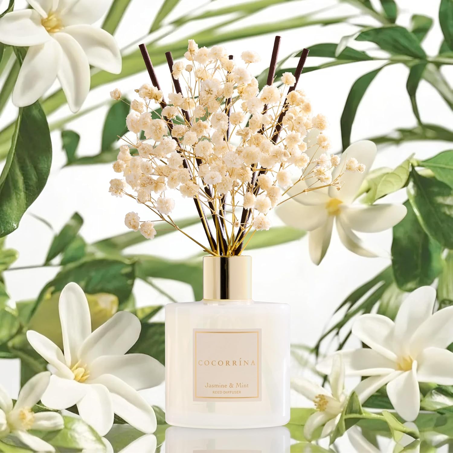 Detalle de COCORRÍNA Raumduft Reed Diffuser Jasmine & Mint 200 ml – langanhaltend, mit 8 Duftstäbchen