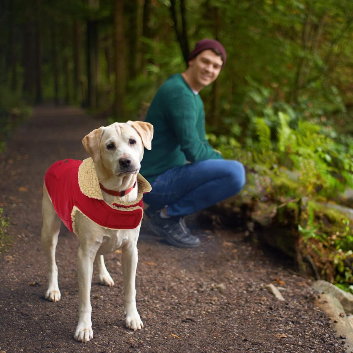 Thumbnail 4 de Queenmore Winter Dog Coat, Medium