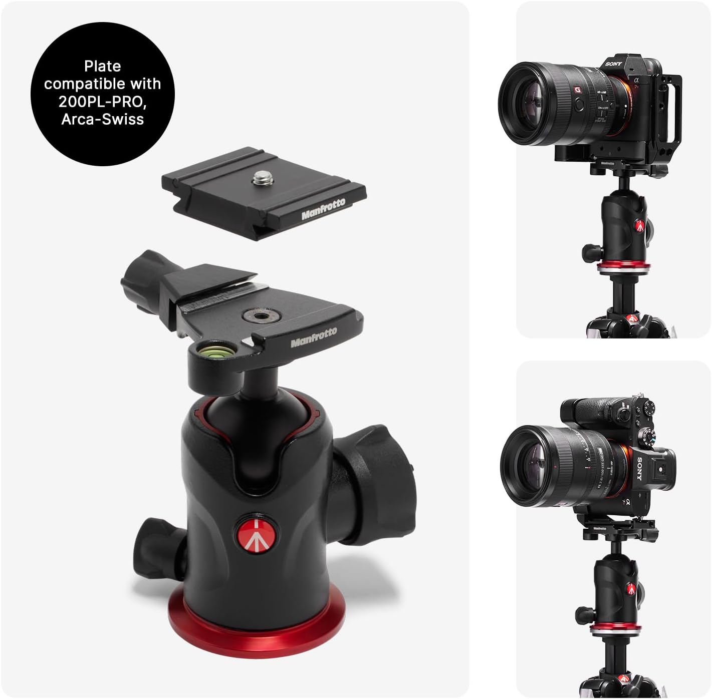Thumbnail 4 de Manfrotto 290XTRA con testa a sfera 496, treppiede in alluminio per reflex e mirrorless (3 sezioni, piastra Arca-Swiss, 10 kg) + borsa