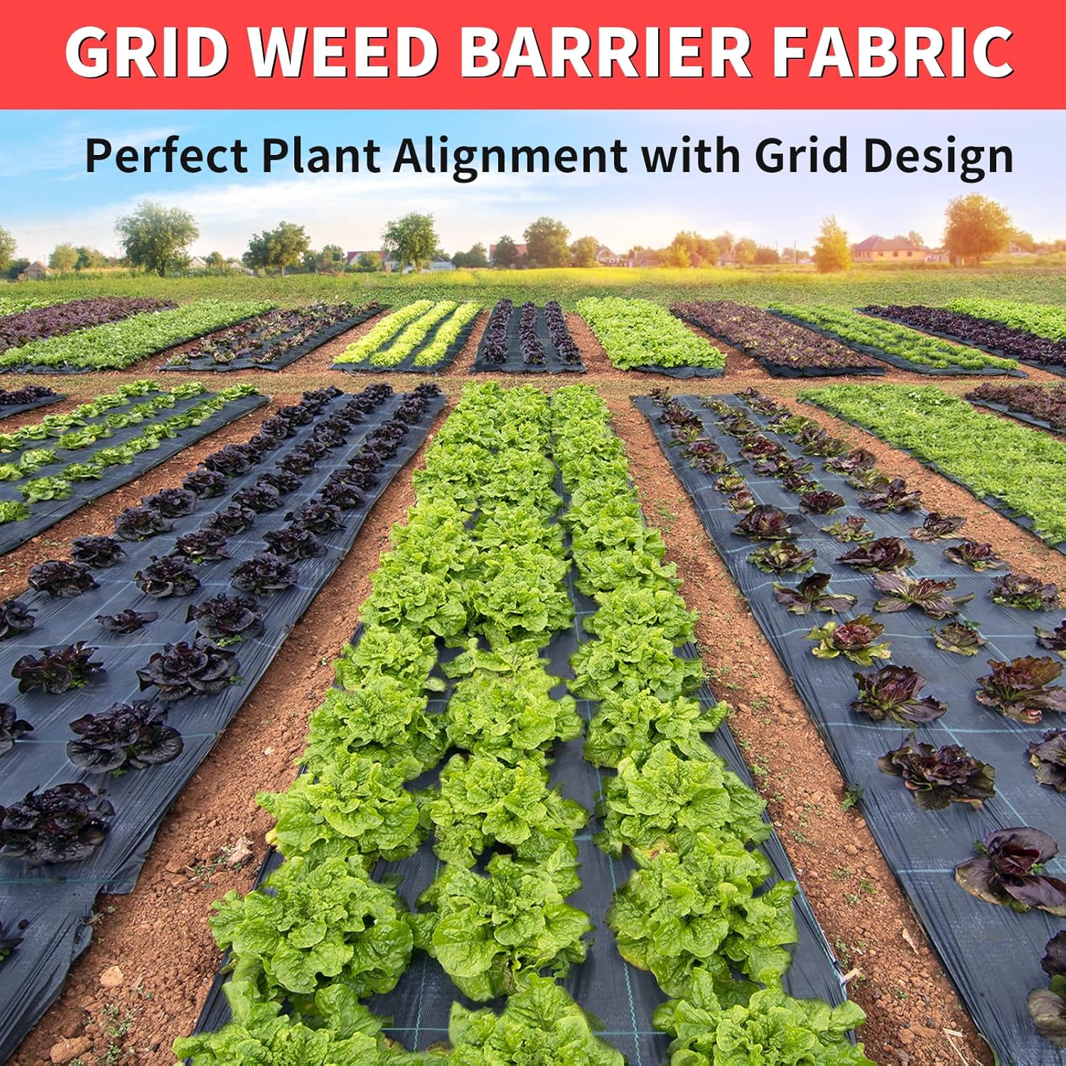 Detalle 2 de Vanver Landscape Fabric with Planting Grid (3 ft x 300 ft)