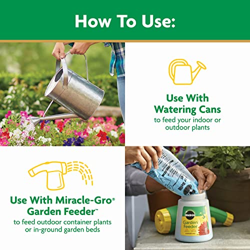 Detalle de Miracle-Gro Water Soluble All Purpose Plant Food, 3 lb — Quick, Versatile Nutrition for Indoor and Outdoor Plants