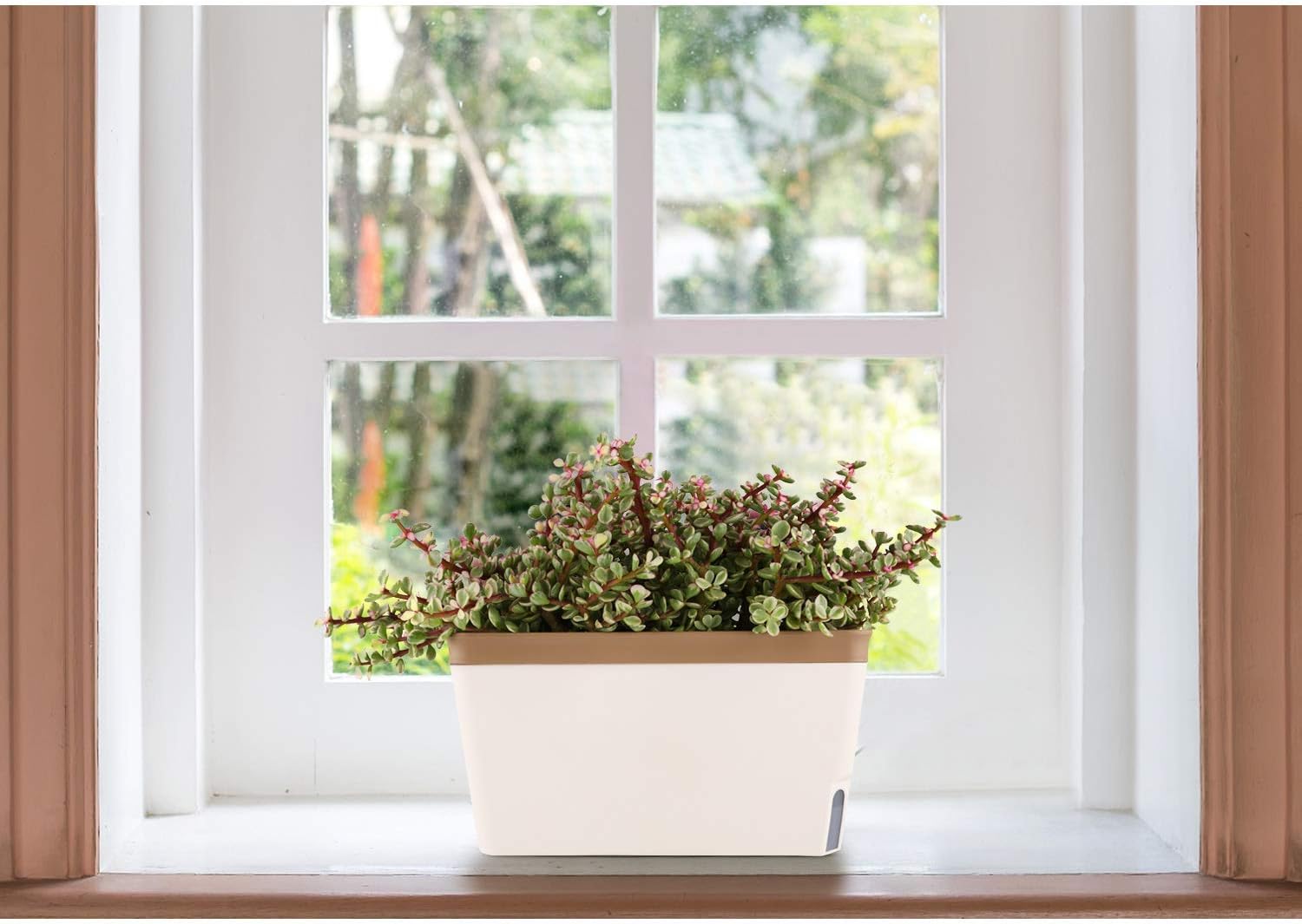 Thumbnail 6 de T4u Kräuter-Kasten 27 cm im 3er-Set