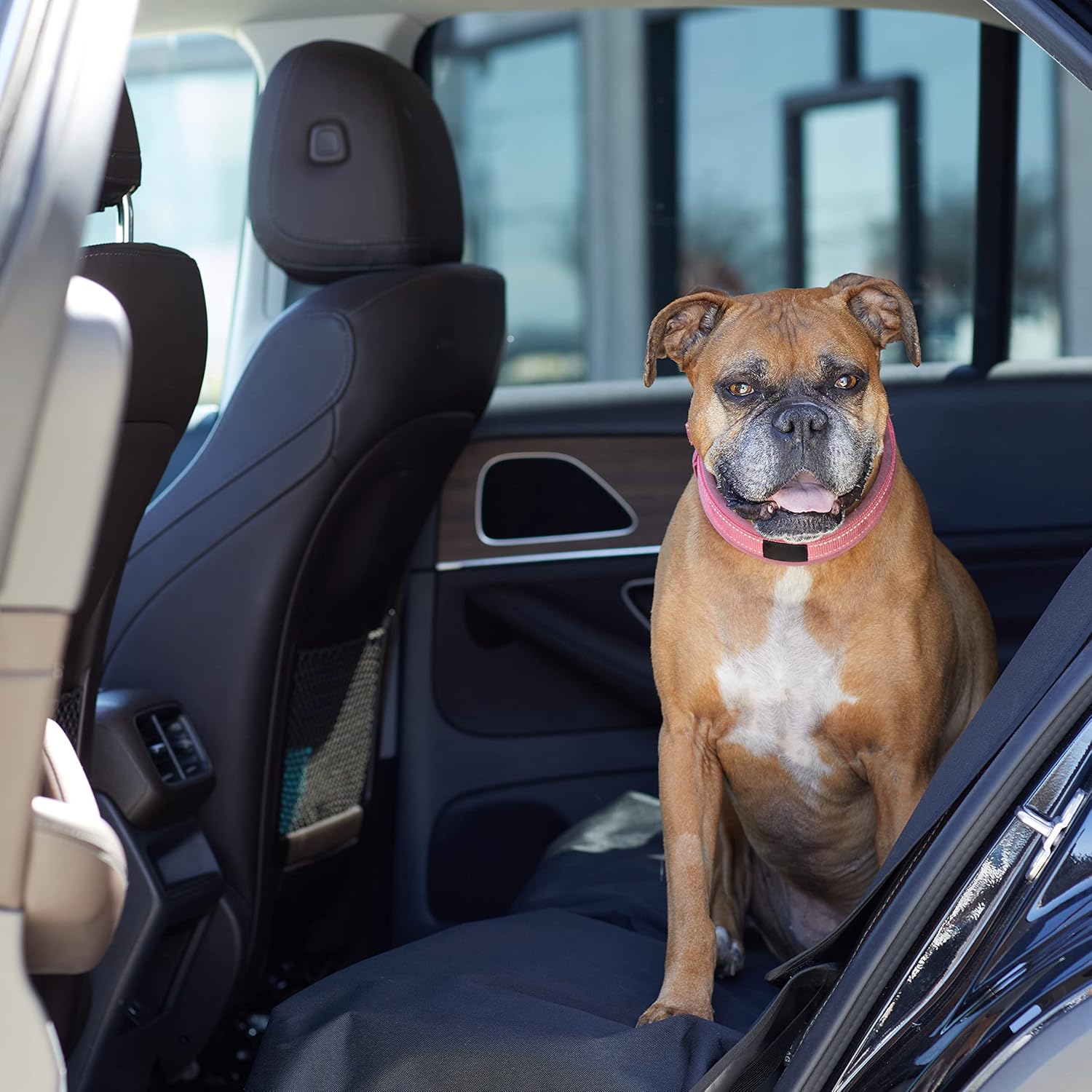 Detalle de Amazon Basics Waterproof Car Back Bench Seat Cover for Pets – 56 x 47 inches (119 x 142 cm), Black